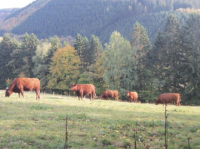 Urlaub auf dem Bauernhof